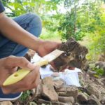 Gunung Pandan, Situs Arkeologi Penting dalam Mengungkap Sejarah Peradaban Jawa