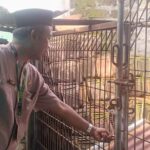 Puluhan Siswa SMPN 1 Randublatung Diduga Rusak Komputer, Wali Murid Protes