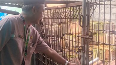 Puluhan Siswa SMPN 1 Randublatung Diduga Rusak Komputer, Wali Murid Protes