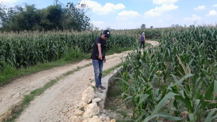 Baru Tiga Minggu Dibangun, Talud Desa Tinapan Sudah Ambrol
