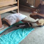 Fosil Tanduk Kerbau Purba Berusia 250 Ribu Tahun Ditemukan di Blora