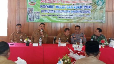 Cegah Kasus PMK Meningkat DP4 Blora Beri Petunjuk Penanggulangan Dini