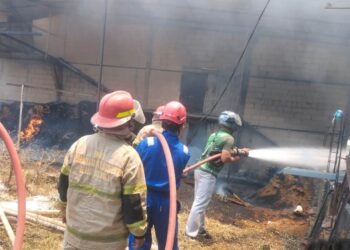 Kebakaran Hebat Kandang Ayam di Randublatung Ludes Dilalap Api Kerugian Ditaksir Rp2,5 Miliar