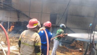 Kebakaran Hebat Kandang Ayam di Randublatung Ludes Dilalap Api Kerugian Ditaksir Rp2,5 Miliar