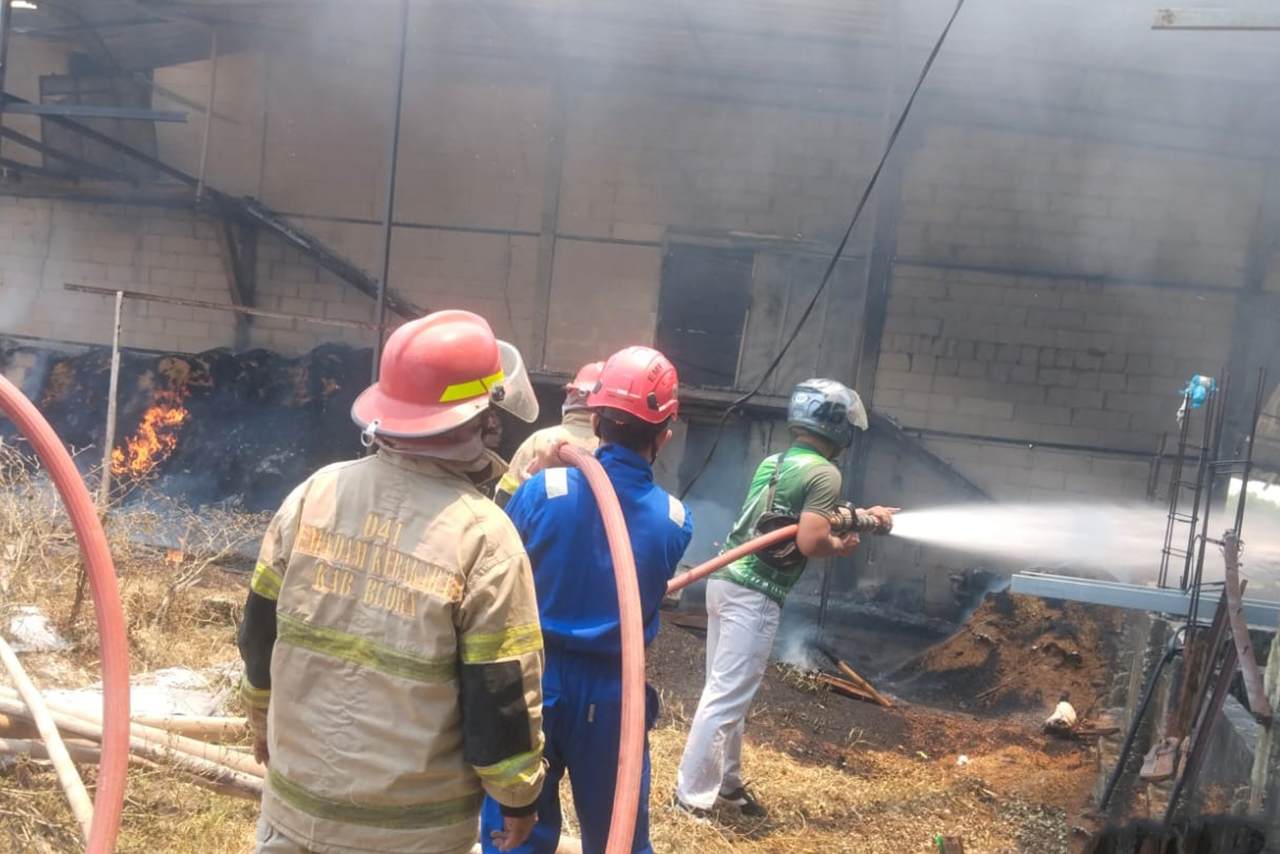 Kebakaran Hebat Kandang Ayam di Randublatung Ludes Dilalap Api Kerugian Ditaksir Rp2,5 Miliar