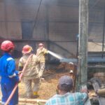 Konsleting Listrik Kandang Ayam di Randublatung Ludes Dilalap Api