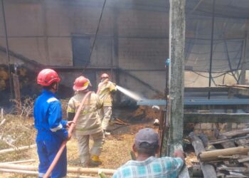 Konsleting Listrik Kandang Ayam di Randublatung Ludes Dilalap Api