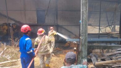 Konsleting Listrik Kandang Ayam di Randublatung Ludes Dilalap Api