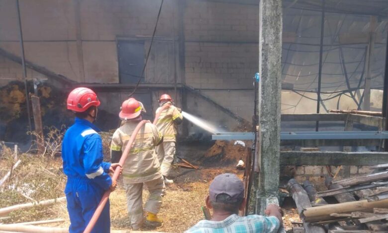 Konsleting Listrik Kandang Ayam di Randublatung Ludes Dilalap Api