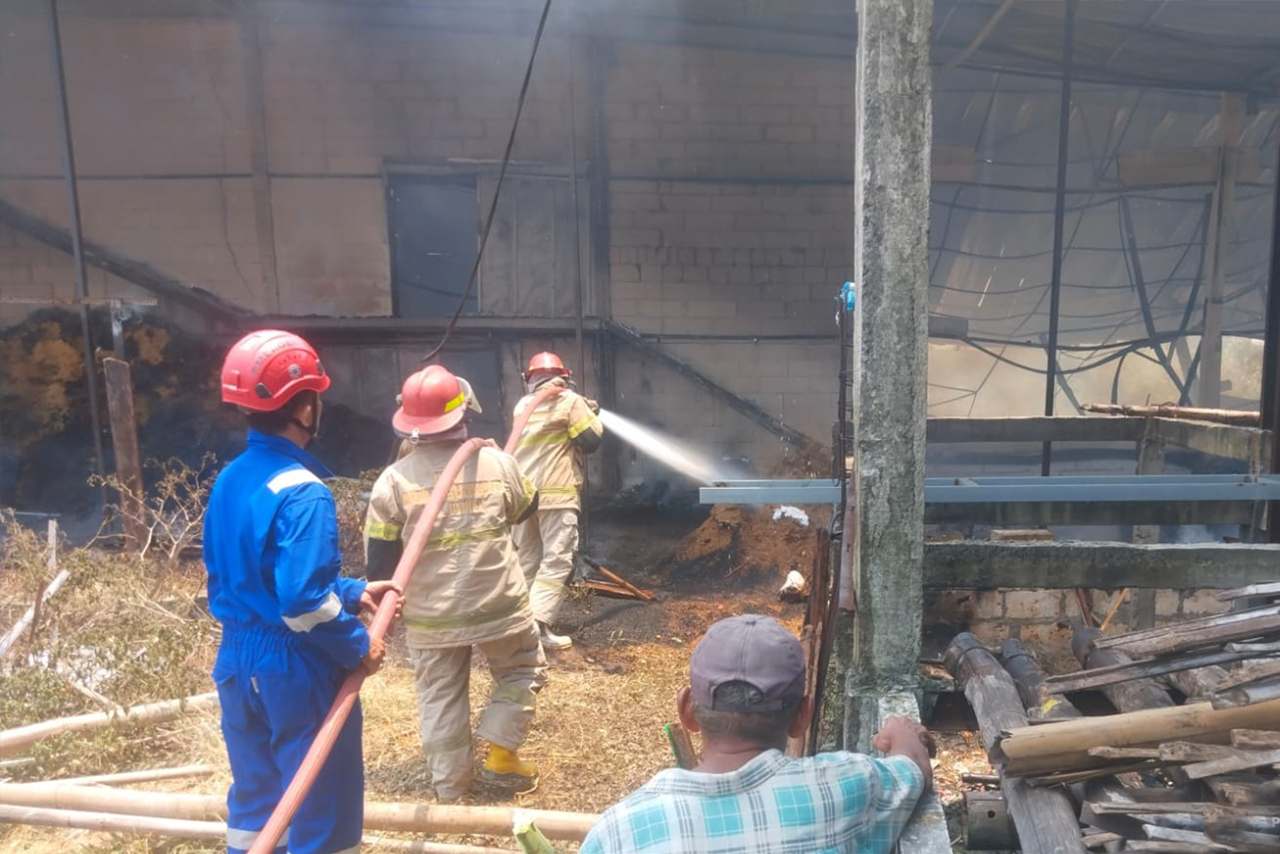 Konsleting Listrik Kandang Ayam di Randublatung Ludes Dilalap Api