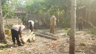 Polsek Sambong Panggil Warga Terkait Dugaan Perusakan Tanaman Jati di Desa Giyanti