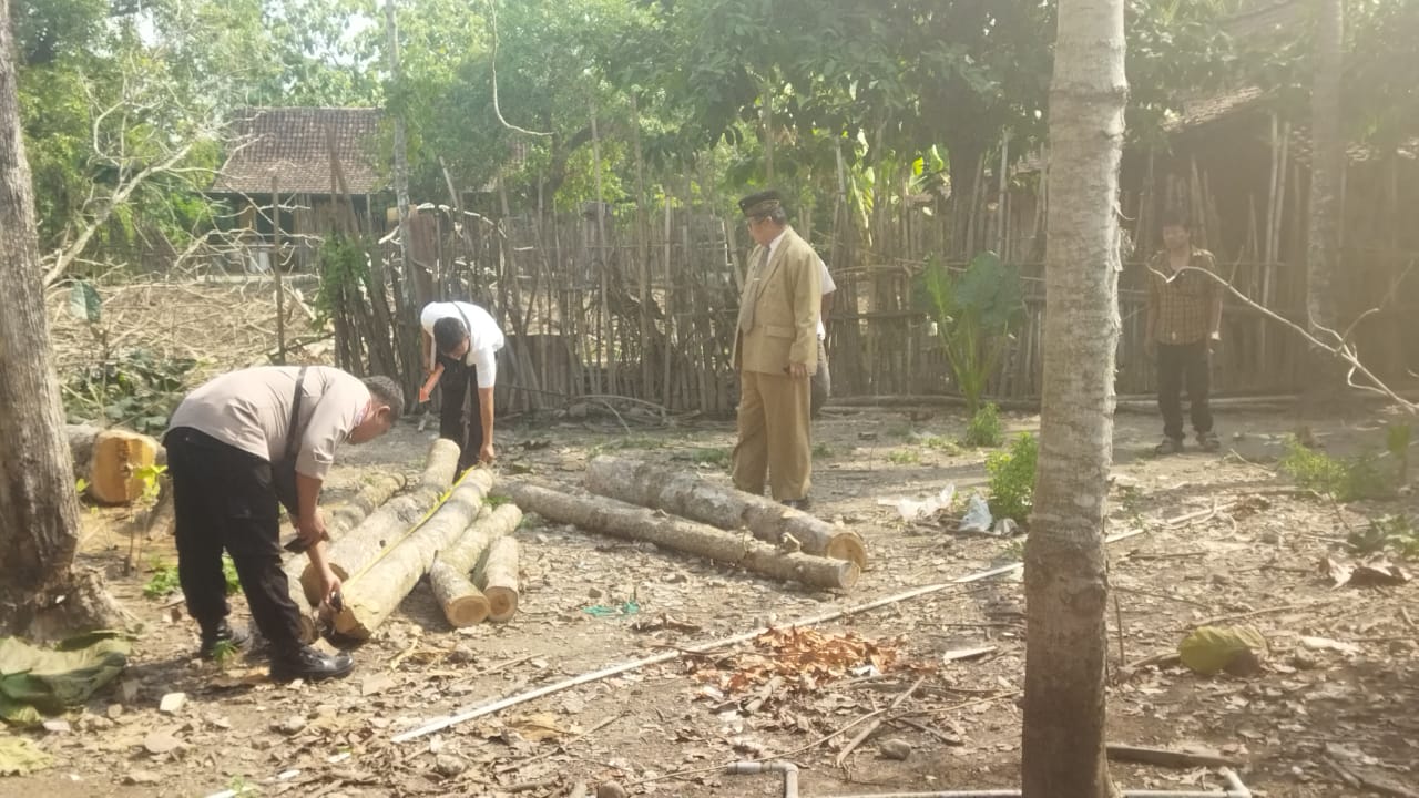 Polsek Sambong Panggil Warga Terkait Dugaan Perusakan Tanaman Jati di Desa Giyanti