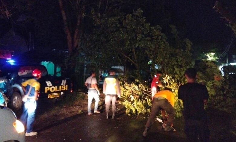 Akses Jalan By-Pass Cepu Sempat Lumpuh Akibat Pohon Tumbang