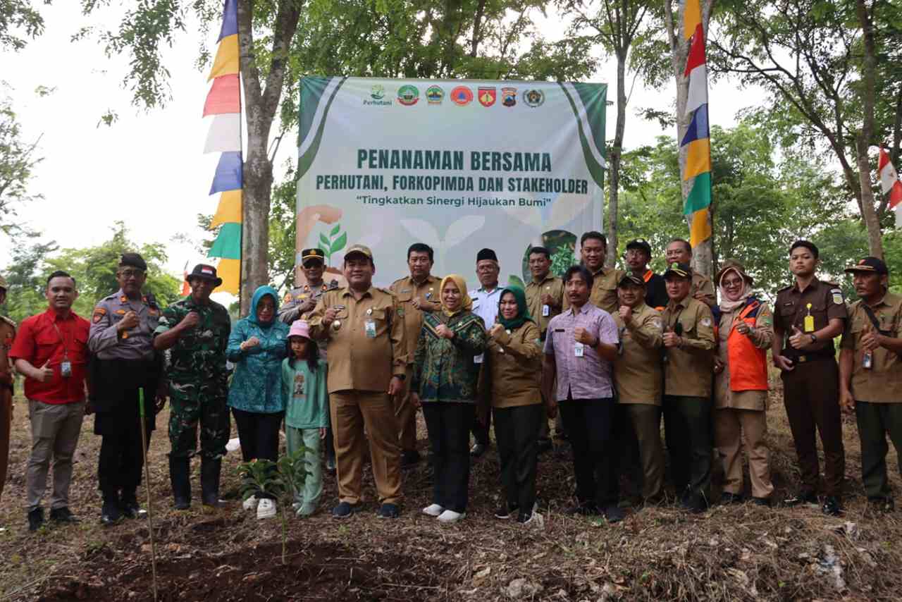 Sulap Hutan Jadi Kebun Buah Ratusan Alpukat dan Mangga Hijaukan Goa Terawang 2