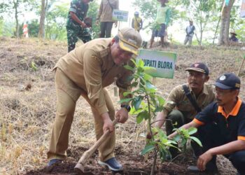 Sulap Hutan Jadi Kebun Buah Ratusan Alpukat dan Mangga Hijaukan Goa Terawang