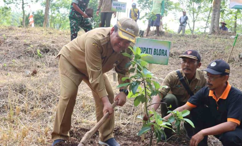Sulap Hutan Jadi Kebun Buah Ratusan Alpukat dan Mangga Hijaukan Goa Terawang