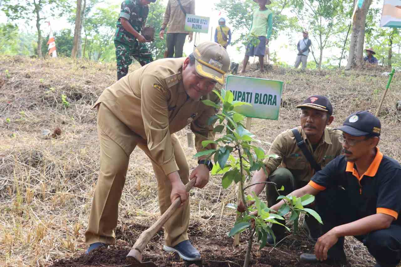 Sulap Hutan Jadi Kebun Buah Ratusan Alpukat dan Mangga Hijaukan Goa Terawang