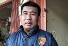 Selidiki Keaslian Video Viral Kekejaman pada Kucing di Blora, Polisi Libatkan Ahli ITE 