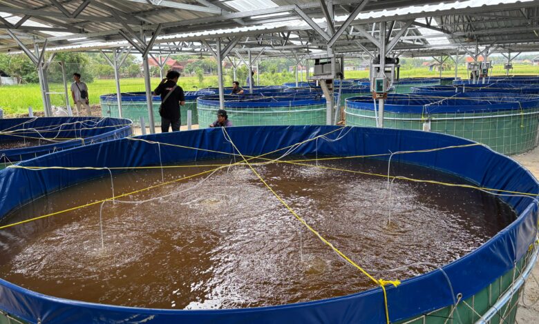 Unit Usaha Lele Bioflok KKMP Kunden Blora Diresmikan