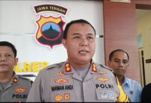 Pelaku Kekejaman pada Kucing Ditetapkan Tersangka