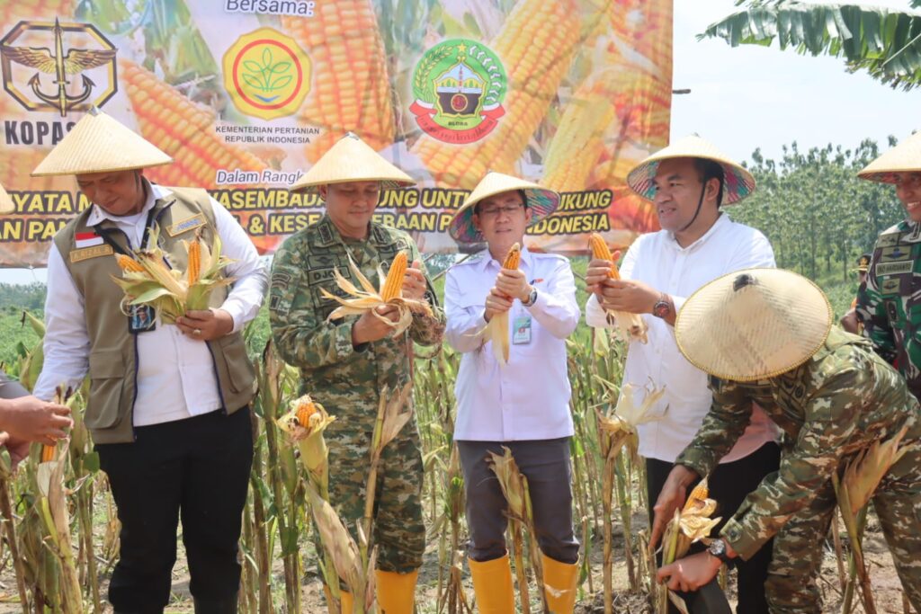 Pabrik Bioetanol Bakal Berdiri di Blora