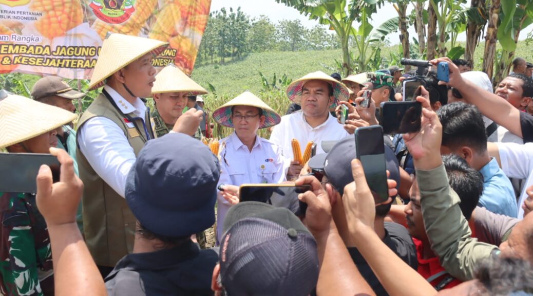 Panglima Kopassus hingga Dirut Bulog Panen Jagung di Blora, Dorong Hilirisasi demi Kesejahteraan Petani