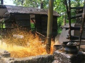 Penambang Sumur Minyak Rakyat di Blora Enggan Kirim Minyak ke Pertamina Harga Hanya Rp2.900 per Liter