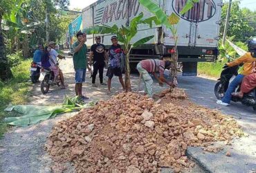 Jalan Cepu-Randublatung Rusak Parah, Warga Protes Tanami Puluhan Pohon Pisang