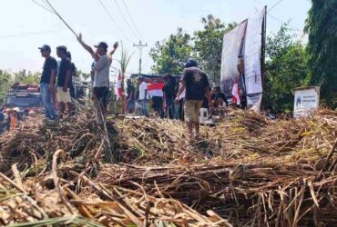 Petani Tebu Blora Gelar Aksi Tumpah Tebu Ribuan Tebu Ditumpahkan di Depan Gerbang Pabrik Gula Blora